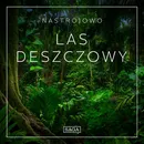 Nastrojowo - Las Deszczowy - Rasmus Broe