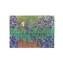 Teczka Paperblanks Van Gogh’s Irises