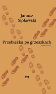Przebieżka po grzeszkach - Janusz Sipkowski