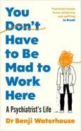 You Don't Have to Be Mad to Work Here - Benji Waterhouse
