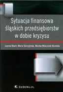 Sytuacja finansowa śląskich przedsiębiorstw w dobie kryzysu - Outlet - Joanna Błach