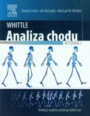 Whittle Analiza chodu - David Levine