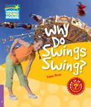Why Do Swings Swing? - Peter Rees