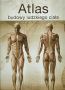 Atlas budowy ludzkiego ciała - Outlet - Jordi Vigue