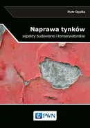 Naprawa tynków - Piotr Opałka
