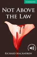 Not Above the Law - Richard MacAndrew