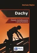 Dachy - Dariusz Bajno