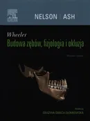 Wheeler Budowa zębów, fizjologia i okluzja - Nelson Stanley J.