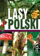 Lasy Polski - Outlet - Ewa Giermek