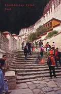 Niewidoczny Tybet - Oser