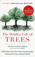 The Hidden Life of Trees - Outlet - Peter Wohlleben