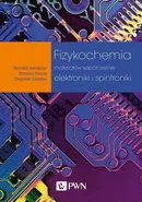Fizykochemia materiałów współczesnej elektroniki i spintroniki - Starodub Vołodymyr
