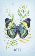 Kalendarz 2021 Motyle - Agata Łuksza