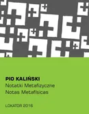 Notatki metafizyczne - Pio Kaliński