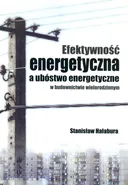 Efektywność energetyczna a ubóstwo energetyczne w budownictwie wielorodzinnym - Stanisław Hałabura