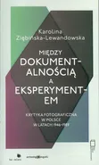 Między dokumentalnością a eksperymentem - Karolina Ziębińska-Lewandowska