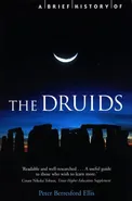 A Brief History of the Druids - Outlet - Peter Ellis
