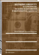 Bankowe kredyty waloryzowane do kursu walut obcych w orzecznictwie sądowym - Outlet - Michał Jabłoński