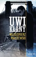 Uwikłany - Włodzimierz Malczewski