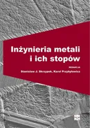 Inżynieria metali i ich stopów - Karol Przybyłowicz