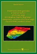 Przystropowa strefa gazonośna w utworach karbonu południowej części Górnośląskiego Zagłębia Węglowego - występowanie, parametry zbiornikowe węgla oraz możliwości pozyskania metanu - Sławomir Kędzior