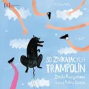 30 znikających trampolin - Dorota Kassjanowicz