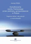 Kształtowanie wyniku finansowego przez podmioty sprawozdawcze w Polsce - Andrzej Piosik