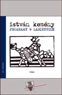 Programy w labiryncie - István Kemény