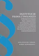Instytucje prawa cywilnego wykorzystywane przy określeniu wysokości szkody i zadośćuczynienia za doznaną krzywdę na gruncie regulacji karnoprawnych - Anna Rogacka-Łukasik