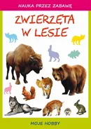 Zwierzęta w lesie - Beata Guzowska