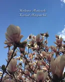 Kwiat magnolii - Helena Mniszek