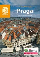 Praga Złoty hrad nad Wełtawą - Aleksander Strojny