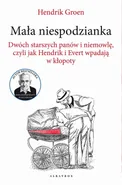 MAŁA NIESPODZIANKA. DWÓCH STARSZYCH PANÓW I NIEMOWLĘ, CZYLI JAK HENDRIK I EVERT WPADAJĄ W KŁOPOTY - Hendrik Groen