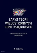 Zarys teorii wielostronnych kont księgowych - Jarosław Bogusław Wedler