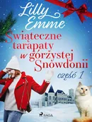 Świąteczne tarapaty w górzystej Snowdonii - część 1 - Lilly Emme