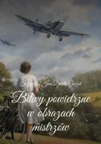 Bitwy powietrzne w obrazach mistrzów - Krzysztof Derda-Guizot