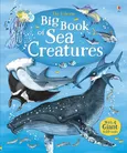 Big Book of Sea Creatures - Outlet - Minna Lacey