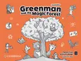 Greenman and the Magic Forest B Activity Book - Susannah Reed