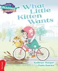 Cambridge Reading Adventures What Little Kitten Wants  - Kathryn Harper