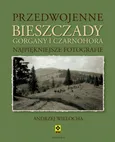 Przedwojenne Bieszczady Gorgany i Czarnohora - Andrzej Wielocha