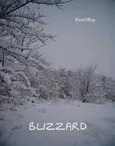 Blizzard - Karol May