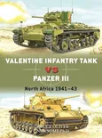 Valentine Infantry Tank vs Panzer III - Bruce Newsome