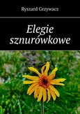 Elegie sznurówkowe - Ryszard Grzywacz