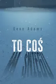 To coś w śniegu - Sean Adams