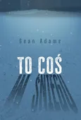 To coś w śniegu - Sean Adams