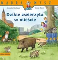 Mądra Mysz Dzikie zwierzęta w mieście - Annette Neubauer