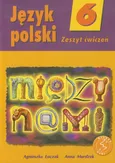 Między nami 6 Język polski Zeszyt ćwiczeń - Outlet - Agnieszka Łuczak