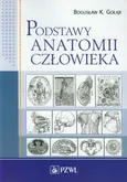 Podstawy anatomii człowieka - Gołąb Bogusław K.