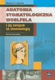 Anatomia stomatologiczna Woelfela i jej związek ze stomatologią - Scheid Rickne C.