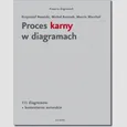 Proces karny w diagramach - Krzysztof Nowicki